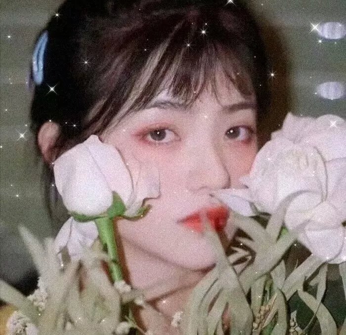 永远的831